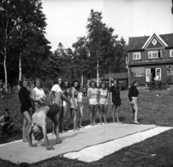 "16 (144)" (ste181a) .Gon-hytta som er møtelokalet for NGU o