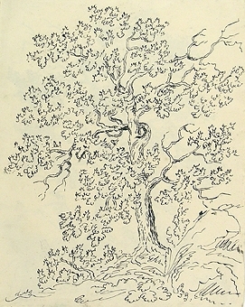 Teckning av träd på båda sidor av pappret.

Enligt liggaren: 85575:1-189: Christine Zelows ritportfölj.