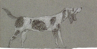 Teckning av en hund på var sida av pappret.

Enligt liggaren: 85575:1-189: Christine Zelows ritportfölj.
