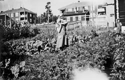 Bildet tatt fra haven utenfor hus nr. 7. Brakker i bakgrunne