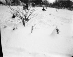 (Eske merket "Barna Namsos")