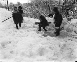 (Eske merket "Barna Namsos")