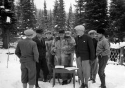 Hovedlandsrennet 1927. Gamle Lysgårdsbakken. Fra langrennet.
