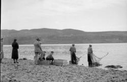 Lågåsildfisket i Øyresvika.