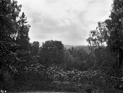 Udsikten, Evje, 23/7 1910