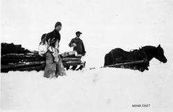 Menn med hester. Edvard Thelin (dreng i Søre Uppistugu) og P