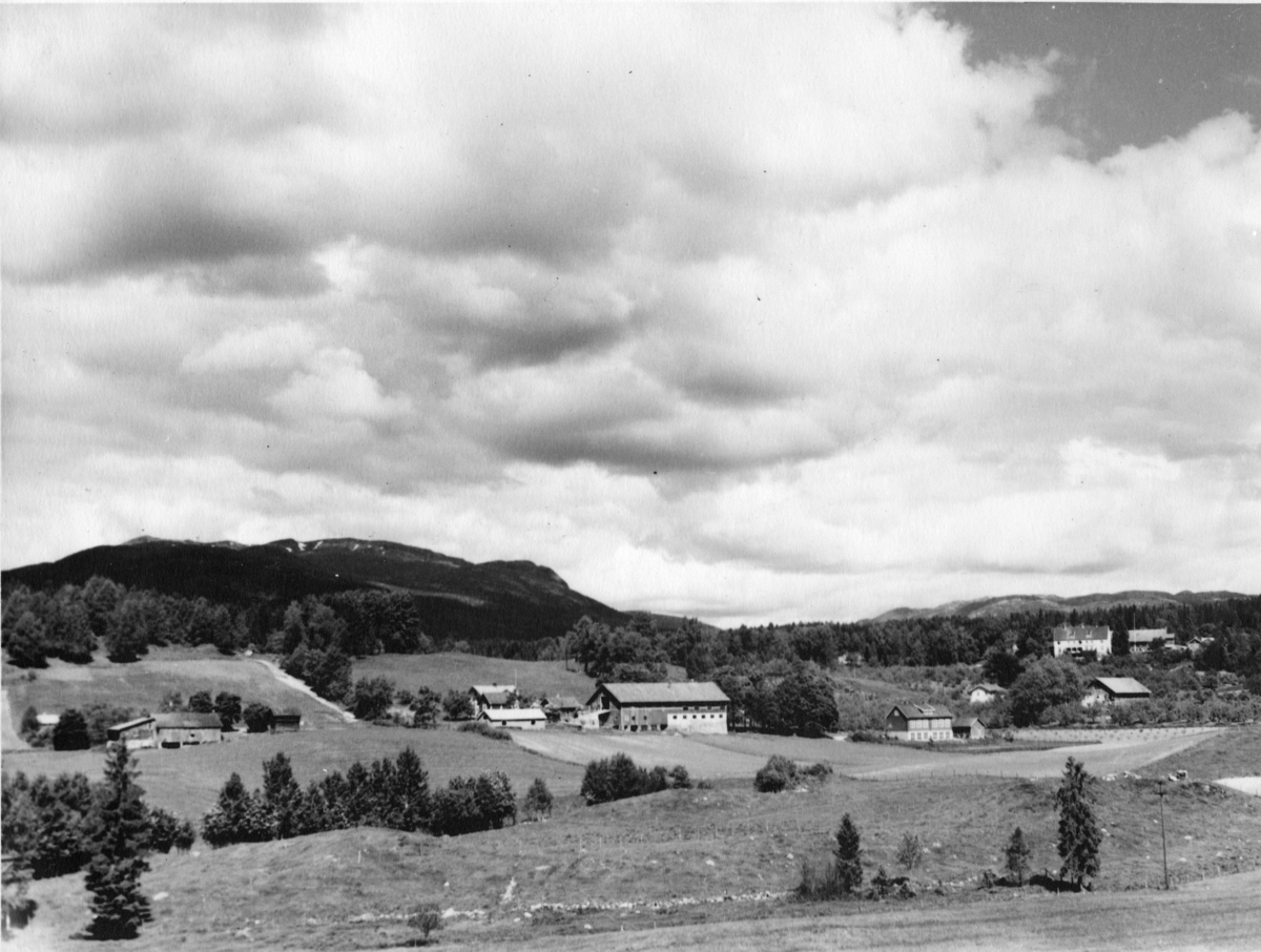 Gåraområdet 1930-åra.
Lengst til venstre Vestgarden med dei gamle husa.