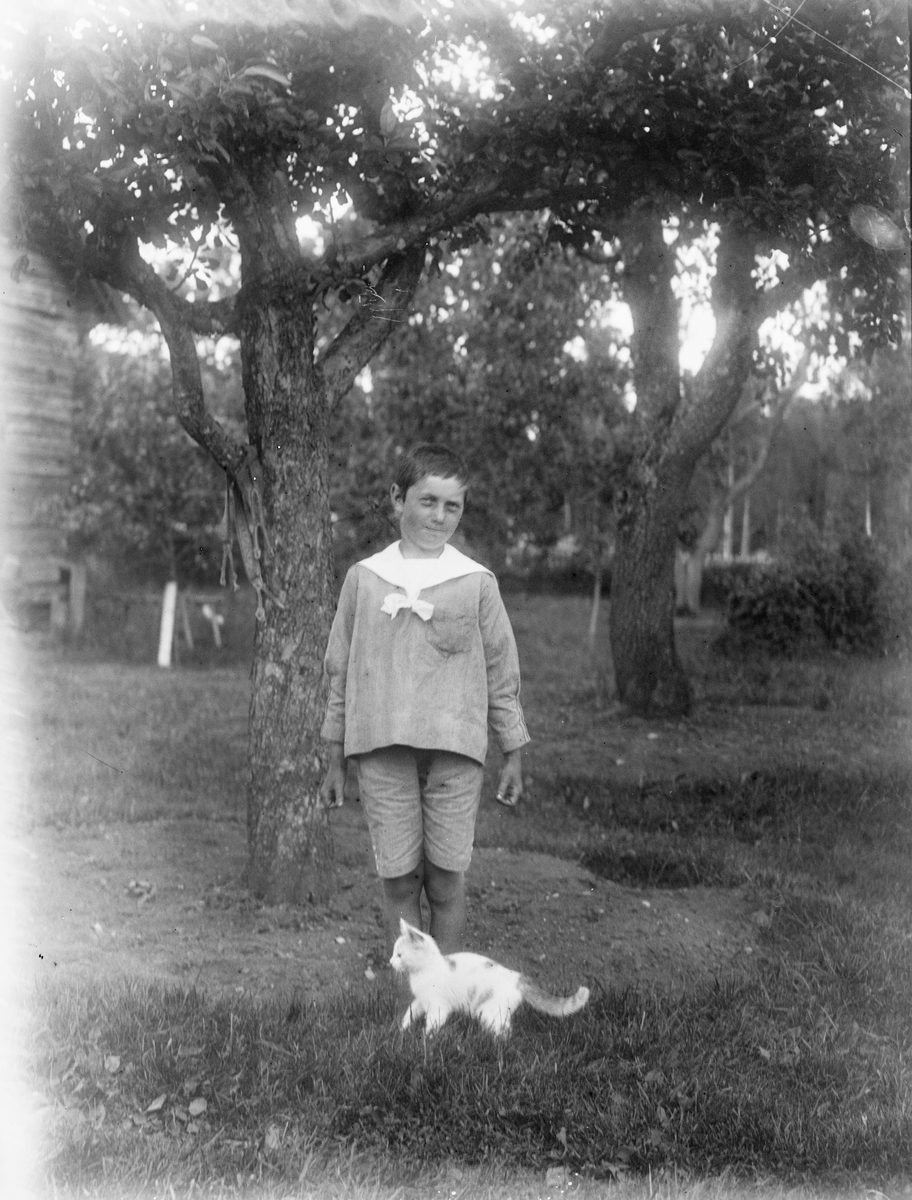 Pojke och katt i trädgård, Skinnarbo, Simtuna socken, Uppland 1925