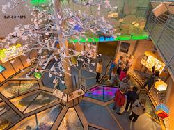 Lise Cats Myhre (ytterst til høyre), som er biolog og rådgiv