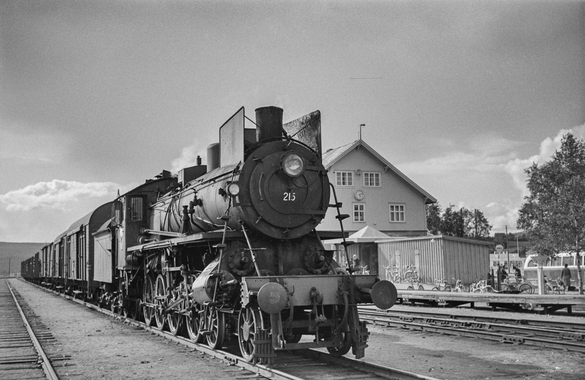 Damplokomotiv type 26a nr. 215 med sydgående godstog på Røros stasjon.