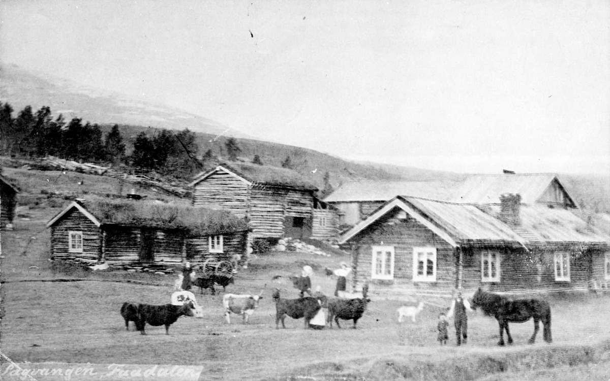 Gardsbruk, dyr, bygninger, personer. Sagvang, Fådalen ca 1910. 