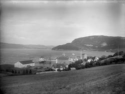 I. C. Piene & Søn i Buvika