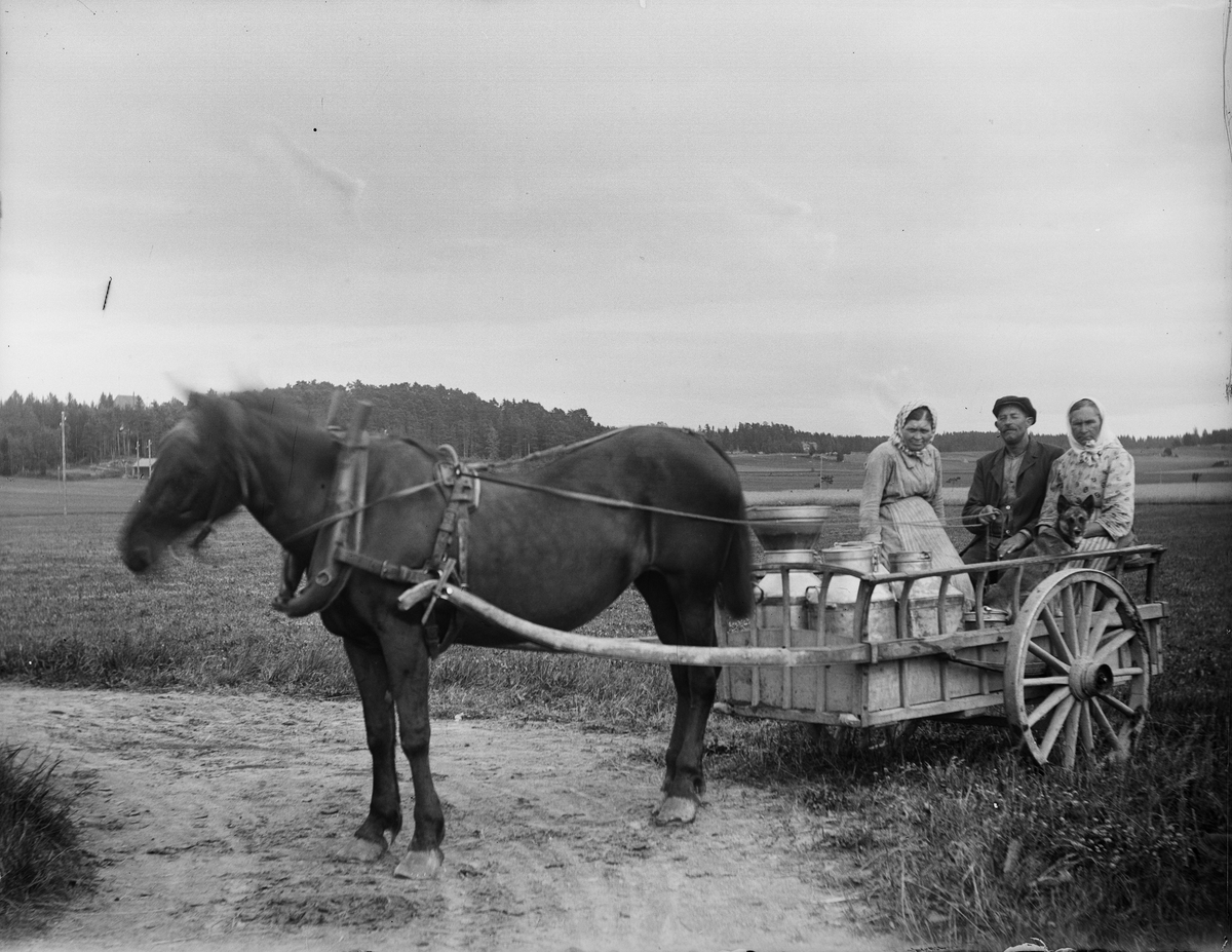 "Göksbo mjölkskjutsen med mjölkerskor vid mjölkfållan med Göksbo parken synlig bakom", Altuna socken, Uppland 1921