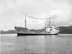 Byggenr. 46 v. Langesund Mekaniske Verksted: Cementine.
3: 