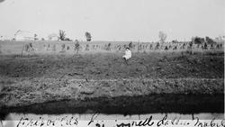 Kvinne, gardsbruk, åker. Frisvolds hjem med datter Mabel.