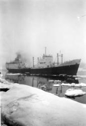 Byggenr. 33 v. LMV: Lysaker