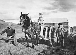 Høykjøring med hest og vogn på Nistugu, Dalen