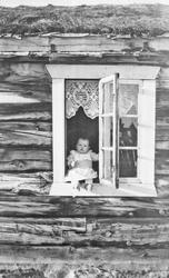 Barn i vinduskarm, ein av ungane til Ingeborg og Hans.
