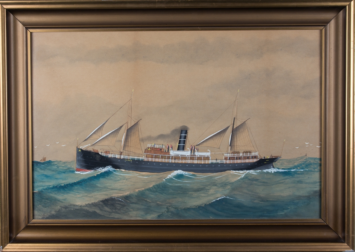 Skipsportrett av DS VENUS med full seilføring og damp på åpent hav. Skorsteinsmerket til BDS.