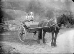 Hest og kjerre med 2 kvinner bakpå