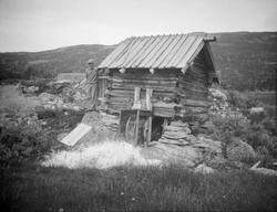 Mann ved kvernhus med vannhjulet i gang.