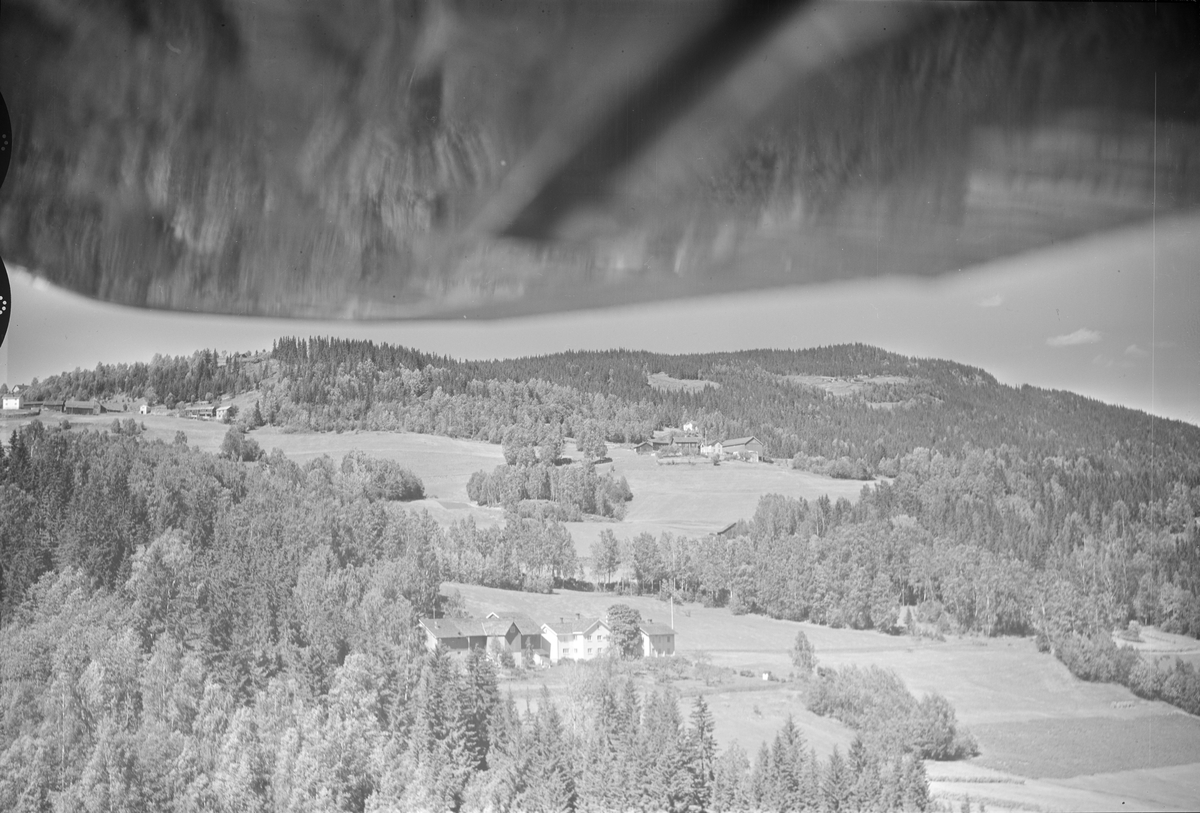 Lagethon (Lågåton) gård,Tretten, Øyer, 16.07.1959, kulturlandskap, jordbruk, slåttonn, hesjing, blandingsskog