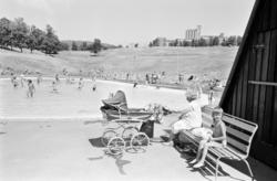 Torshov, div. Fra badedammen. Juli 1975