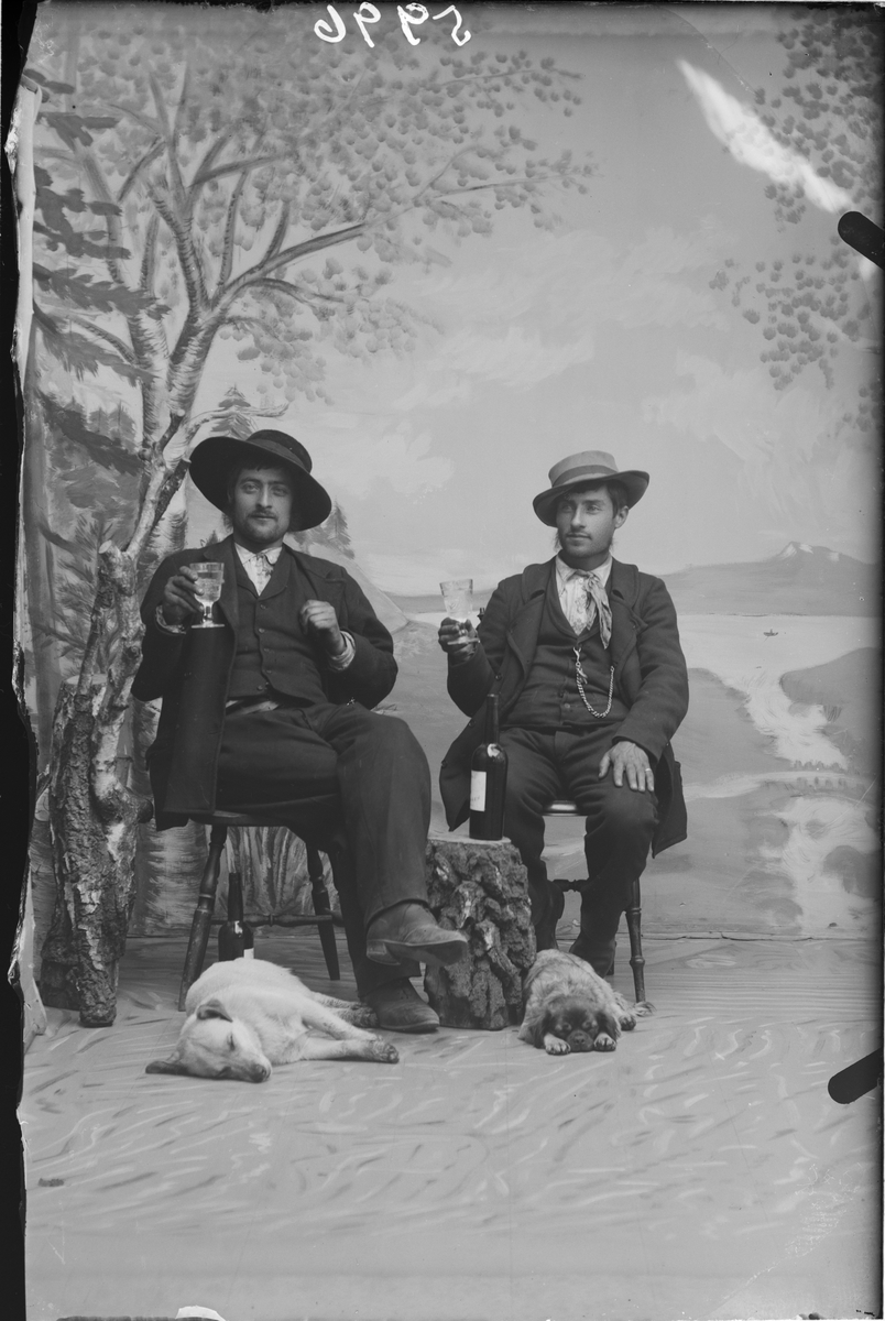02.06.1901. Magnus Anderson og broren, tatere.