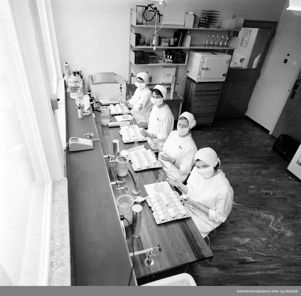 Statens Institutt for Folkehelse. Influensalaboratoriet. Februar 1962