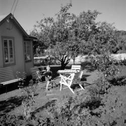 Sogn Kolonihage. Oktober 1950