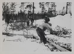 Skogskonflikten i Trysil