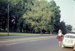 Drammenveien langs Slottsparken.
