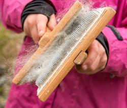 Fra "Fløttdagen" på Dølmotunet 2016, Tolga, Hedmark. Musea i