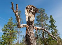 Bilder fra Blokkodden Villmarksmuseum ved Drevsjøen i Engerd