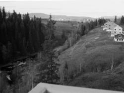 Røa. Det bygges langs Lysakerelva. November 1947