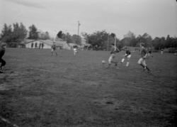 ."Molde FK, MFK, Molde fotballklubb"