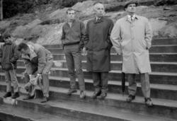 ."Molde FK, MFK, Molde fotballklubb"