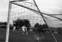 ."Molde FK, MFK, Molde fotballklubb"