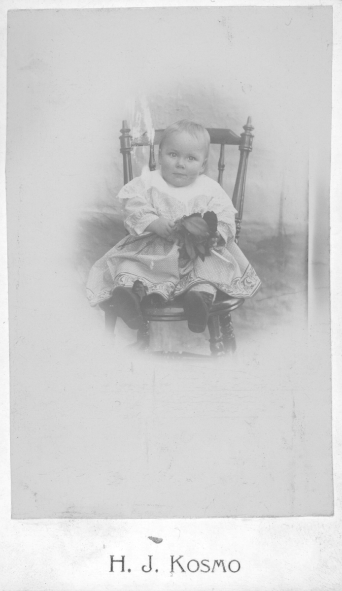 Album med portrettbilder. Albumet har tilhørt Aksel Konrad Mikkola og hans hustru Kathinka Marie, f. Mikkelsen. Det er nå i Solbjørg Mikkolas eie. Navnene til de portretterte er for en stor del ukjente, men mange er fra Neiden og Sør-Varanger. Kathinka kom opprinnelig fra Lofoten, og en del av bildene viser hennes familie i Nordland