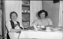 To kvinner og ein katt