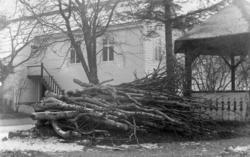 Ullensvang hotell, lysthuset og anekset