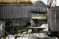 Foto fra noen av naustene på fiskeværet Grip i Kristiansund 