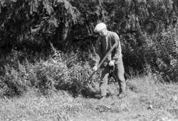 Ljå, slåttonn, arbeidsteknikk, slåttekar,