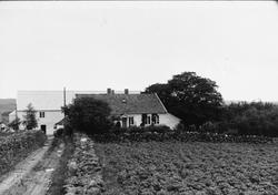 Jærhus. Det gamle hovedhuset til Rossaland bnr. 6 - Kristoff