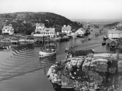 Foto av en rekke fartøy i Sveggen på Averøy kommune. Følget 