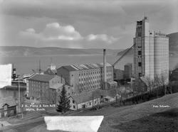 I. C. Piene & Søn i Buvika