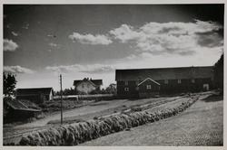 Sundby gård i Hurum, høsten 1936