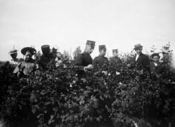 militære og sivile bærplukkere. uniform, familie, barn. Saml