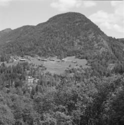 Utsikt fra toget på Numedalsbanen