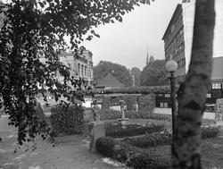 "Friluften" i Tivoli.